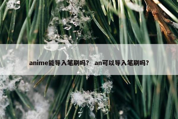anime能导入笔刷吗？ an可以导入笔刷吗？