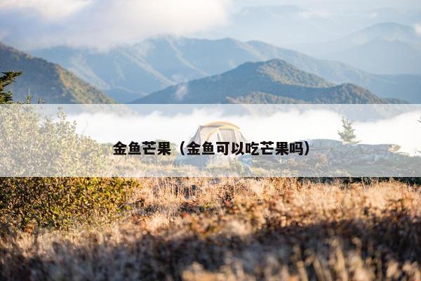 金鱼芒果（金鱼可以吃芒果吗）