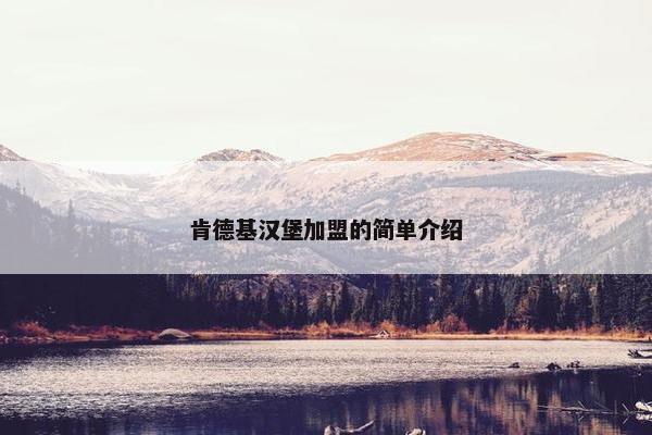 肯德基汉堡加盟的简单介绍