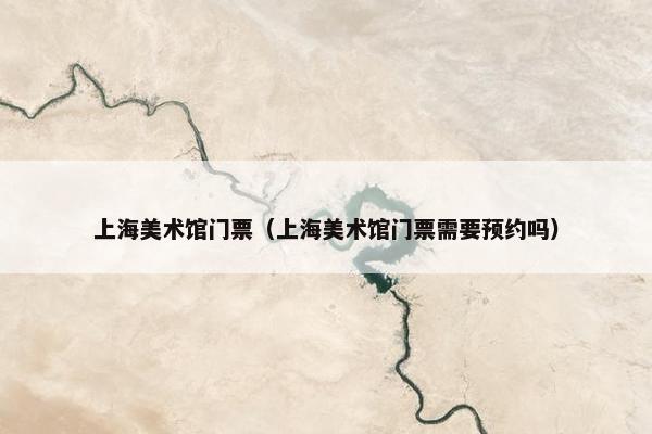上海美术馆门票（上海美术馆门票需要预约吗）
