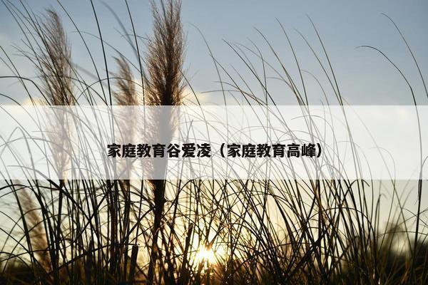 家庭教育谷爱凌（家庭教育高峰）