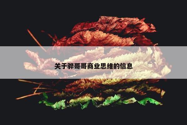 关于骅哥哥商业思维的信息