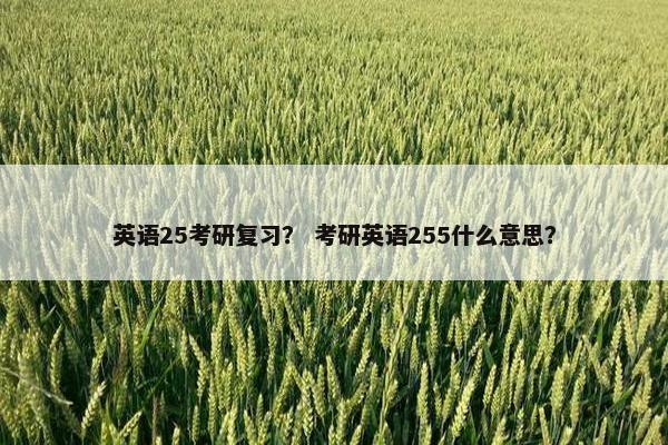英语25考研复习？ 考研英语255什么意思？