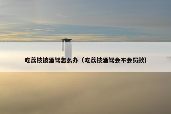 吃荔枝被酒驾怎么办（吃荔枝酒驾会不会罚款）