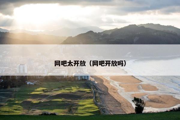 网吧太开放（网吧开放吗）
