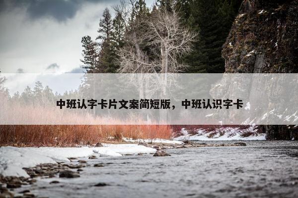 中班认字卡片文案简短版，中班认识字卡