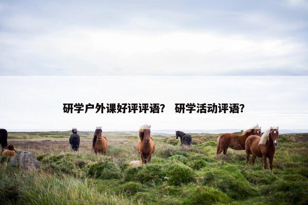 研学户外课好评评语？ 研学活动评语？