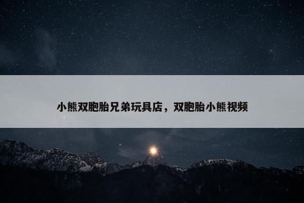 小熊双胞胎兄弟玩具店，双胞胎小熊视频