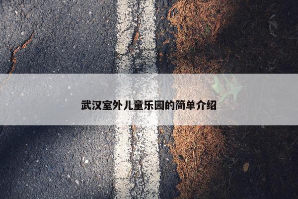 武汉室外儿童乐园的简单介绍