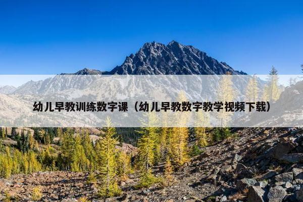 幼儿早教训练数字课（幼儿早教数字教学视频下载）