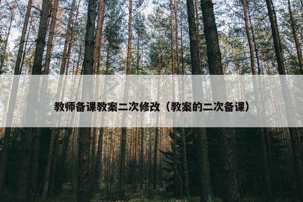 教师备课教案二次修改（教案的二次备课）