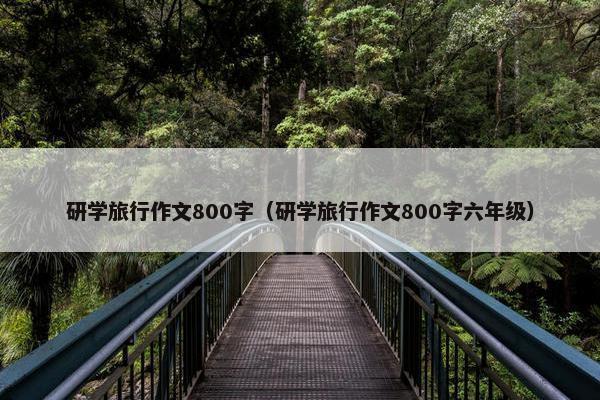 研学旅行作文800字（研学旅行作文800字六年级）