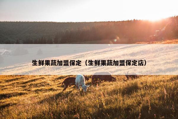 生鲜果蔬加盟保定（生鲜果蔬加盟保定店）