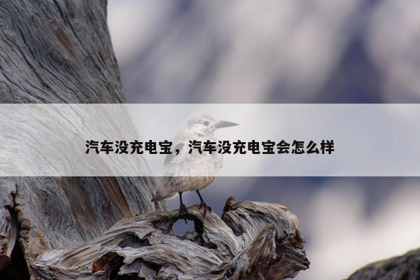 汽车没充电宝，汽车没充电宝会怎么样