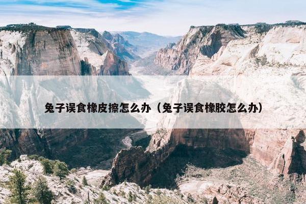 兔子误食橡皮擦怎么办（兔子误食橡胶怎么办）