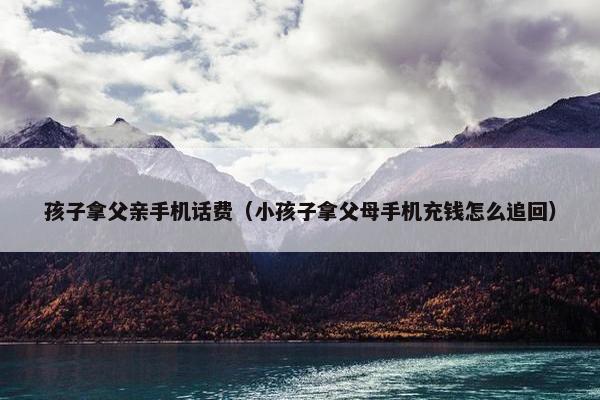 孩子拿父亲手机话费（小孩子拿父母手机充钱怎么追回）