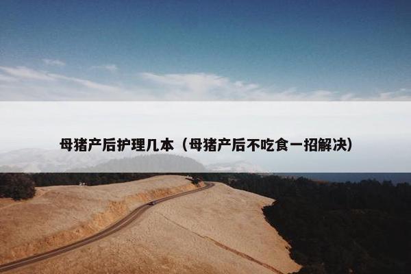 母猪产后护理几本（母猪产后不吃食一招解决）