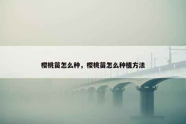 樱桃苗怎么种，樱桃苗怎么种植方法