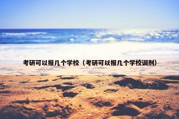 考研可以报几个学校（考研可以报几个学校调剂）