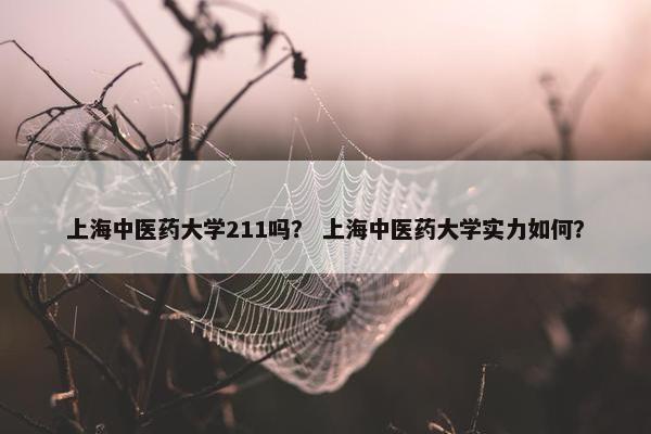 上海中医药大学211吗？ 上海中医药大学实力如何？