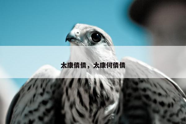 太康倩倩，太康何倩倩