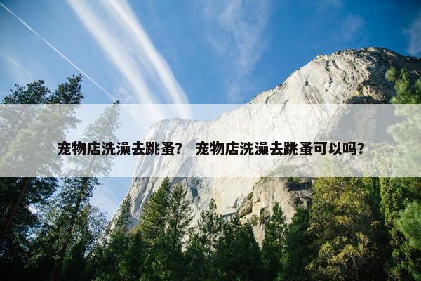 宠物店洗澡去跳蚤？ 宠物店洗澡去跳蚤可以吗？