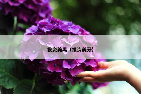 投资美黑（投资美牙）