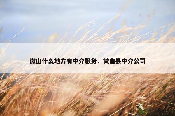 微山什么地方有中介服务，微山县中介公司