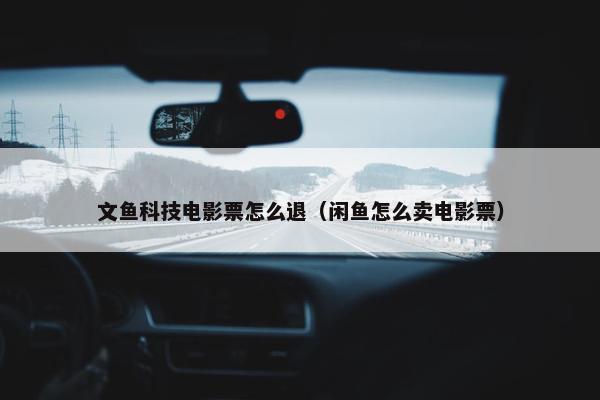 文鱼科技电影票怎么退（闲鱼怎么卖电影票）