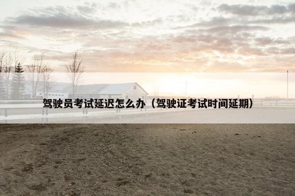 驾驶员考试延迟怎么办（驾驶证考试时间延期）
