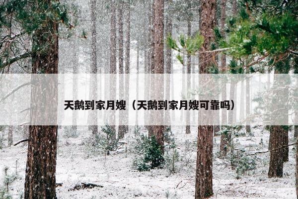 天鹅到家月嫂（天鹅到家月嫂可靠吗）