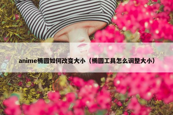anime椭圆如何改变大小（椭圆工具怎么调整大小）