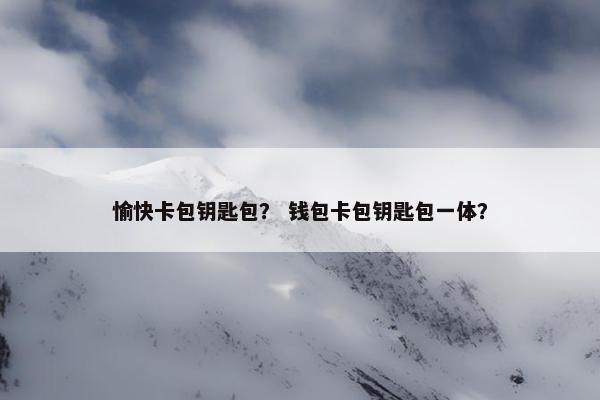愉快卡包钥匙包？ 钱包卡包钥匙包一体？