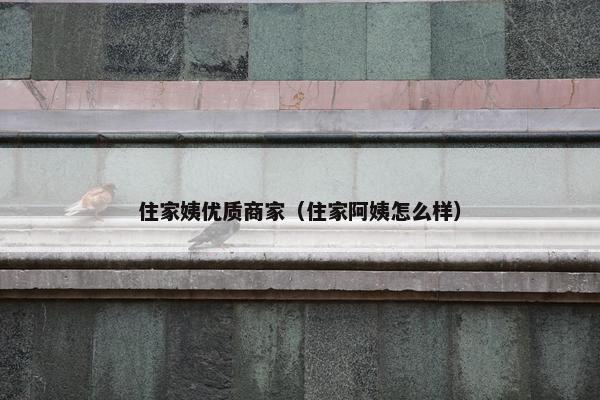 住家姨优质商家（住家阿姨怎么样）