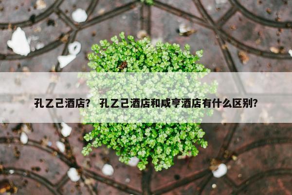 孔乙己酒店？ 孔乙己酒店和咸亨酒店有什么区别？