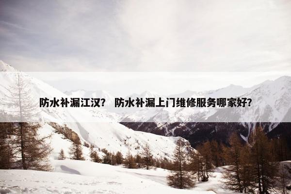 防水补漏江汉？ 防水补漏上门维修服务哪家好？
