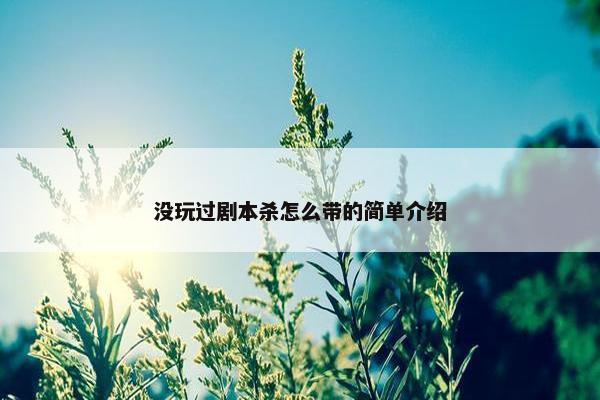 没玩过剧本杀怎么带的简单介绍