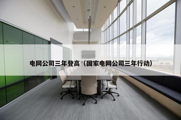 电网公司三年登高（国家电网公司三年行动）