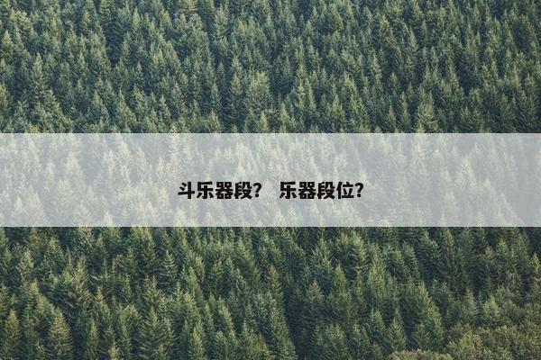 斗乐器段？ 乐器段位？