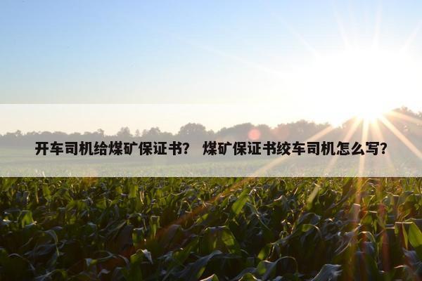 开车司机给煤矿保证书？ 煤矿保证书绞车司机怎么写？