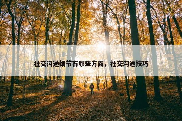 社交沟通细节有哪些方面，社交沟通技巧