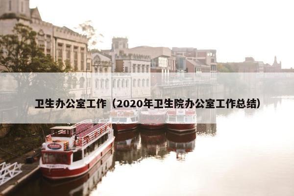 卫生办公室工作（2020年卫生院办公室工作总结）