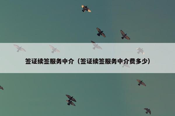 签证续签服务中介（签证续签服务中介费多少）