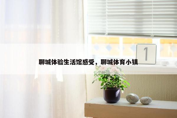 聊城体验生活馆感受，聊城体育小镇