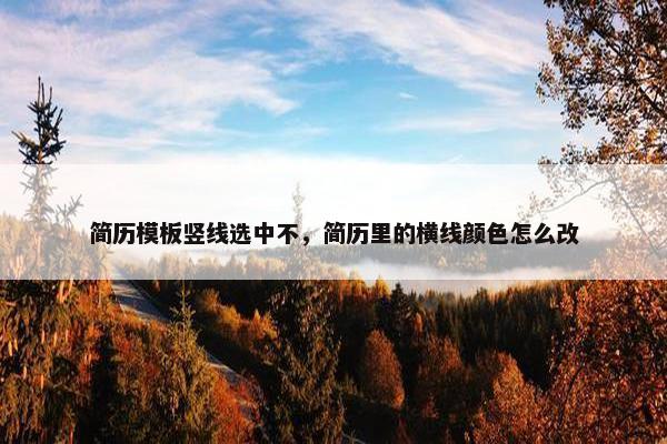 简历模板竖线选中不，简历里的横线颜色怎么改