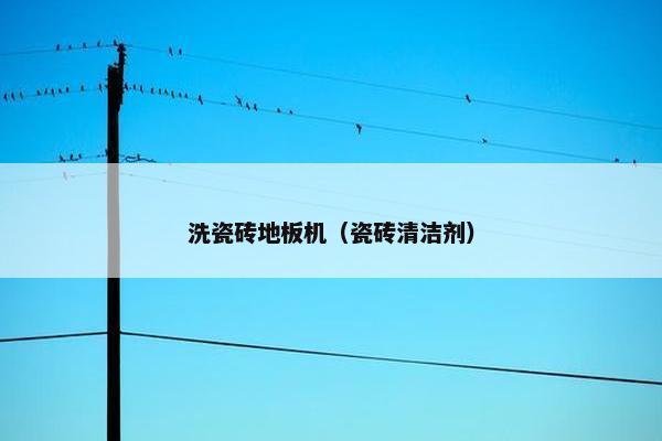 洗瓷砖地板机（瓷砖清洁剂）