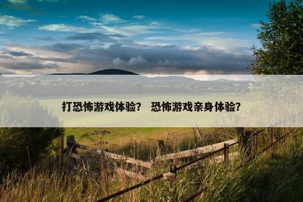 打恐怖游戏体验？ 恐怖游戏亲身体验？
