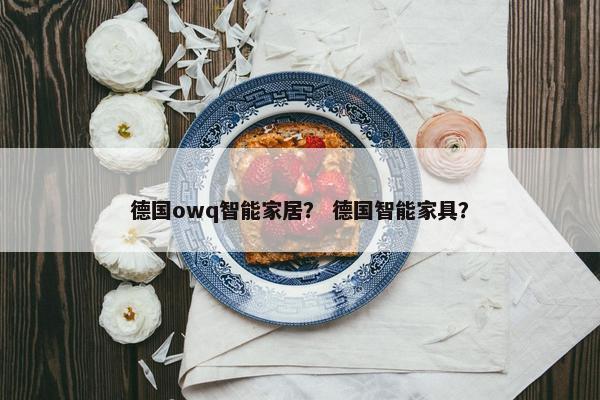 德国owq智能家居？ 德国智能家具？