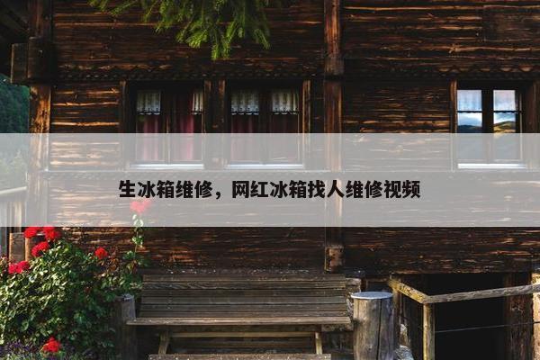 生冰箱维修，网红冰箱找人维修视频