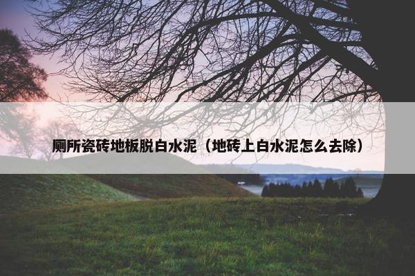厕所瓷砖地板脱白水泥（地砖上白水泥怎么去除）
